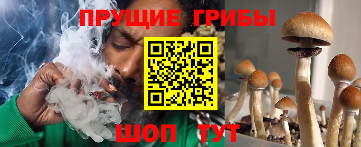 Псилоцибиновые грибы мухоморы Минеральные Воды