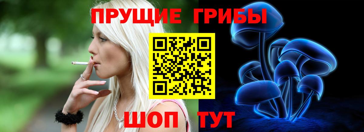 Галлюциногенные грибы мицелий  Галлюциногенные грибы мицелий  Минеральные Воды  Вход с VPN 